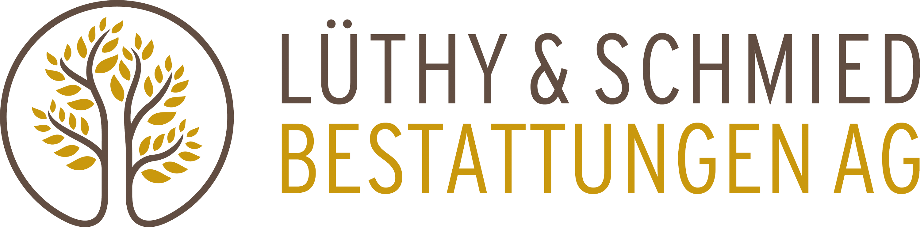 Logo_Luethy&Schmied_positive